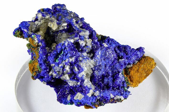 Cerussite Crystals on Sparkling Azurite - Congo #372236